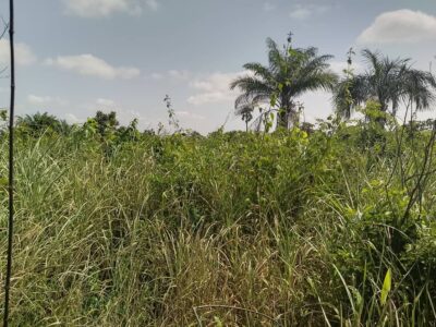 Christina Plettner: „Die Heritage Academy braucht eine weitere Schulfarm.“