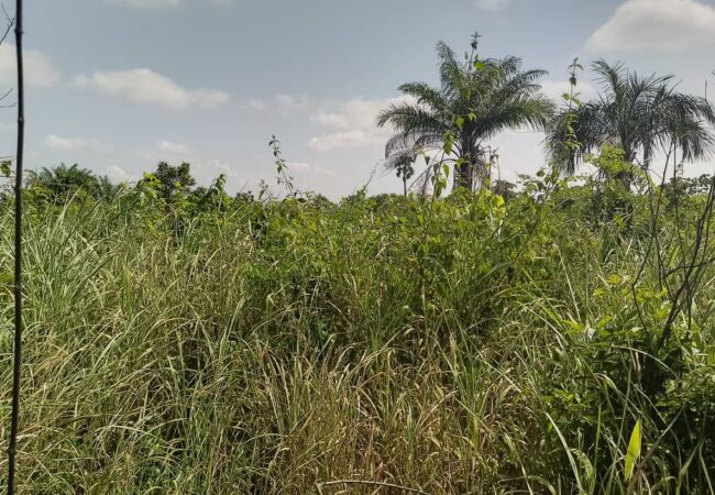 Christina Plettner: „Die Heritage Academy braucht eine weitere Schulfarm.“