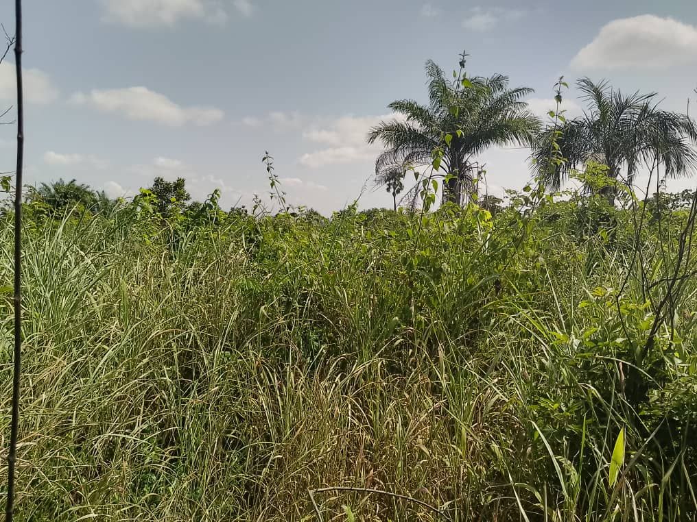 Du betrachtest gerade Christina Plettner: „Die Heritage Academy braucht eine weitere Schulfarm.“